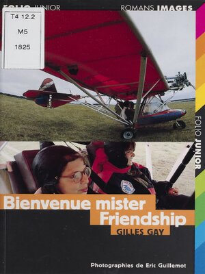 cover image of Bienvenue Mister Friendship